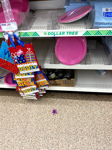 Dollar Store «Dollar Tree», reviews and photos, 500 NJ-38, Cherry Hill, NJ 08002, USA