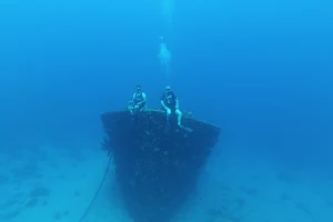 MV Superior Producer - Curaçao Iconic Shipwreck image