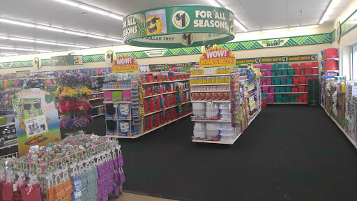 Dollar Store «Dollar Tree», reviews and photos, 8300 W Farm to Market Rd 78, Converse, TX 78109, USA