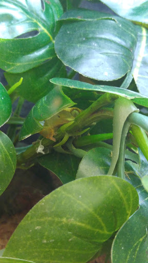 Pet Supply Store «Petco Animal Supplies», reviews and photos, 7400 Rivers Ave z, North Charleston, SC 29406, USA