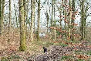 Spearywell Wood Car Park image