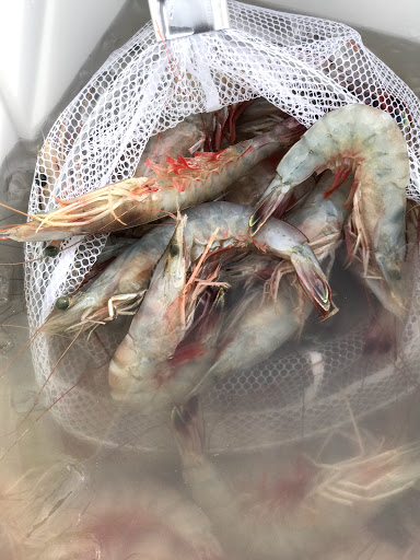 Seafood Market «Satsuma Seafood», reviews and photos, 29923 S Satsuma Rd, Livingston, LA 70754, USA