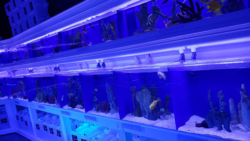 Tropical Fish Store «Pure Reef», reviews and photos, 12900 GA-9, Alpharetta, GA 30004, USA