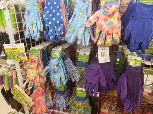 Dollar Store «Dollar Tree», reviews and photos, 2305 Colorado Blvd, Denton, TX 76205, USA