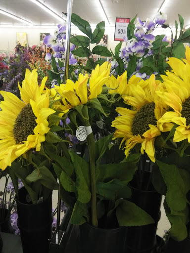 Craft Store «Hobby Lobby», reviews and photos, 2400 E Semoran Blvd, Apopka, FL 32703, USA