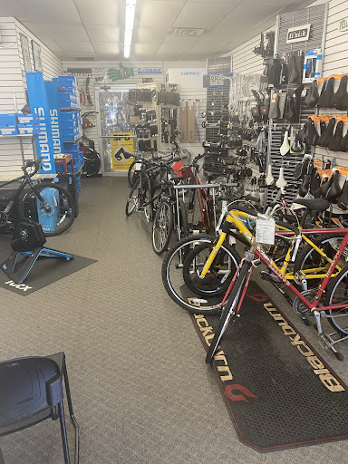 Bicycle Store «Champion Cycling», reviews and photos, 1025 Arlington Rd N, Jacksonville, FL 32211, USA