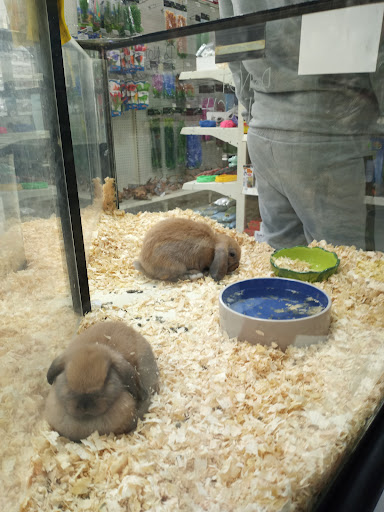 Pet Store «Inland Reef Pet Store», reviews and photos, 817 Cross Lanes Dr, Cross Lanes, WV 25313, USA