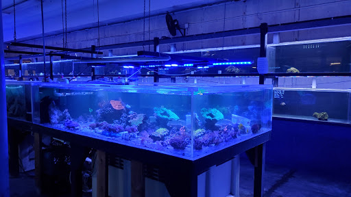 Tropical Fish Store «Exotic Aquarium», reviews and photos, 6643 Franklin Blvd, Sacramento, CA 95823, USA