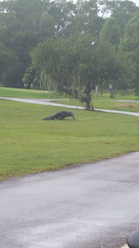 Golf Course «Willowbrook Golf Course», reviews and photos, 4200 FL-544, Winter Haven, FL 33881, USA