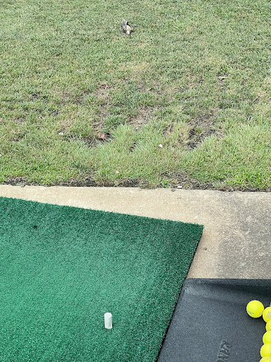 Public Golf Course «Falls Road Golf Course», reviews and photos, 10800 Falls Rd, Potomac, MD 20854, USA