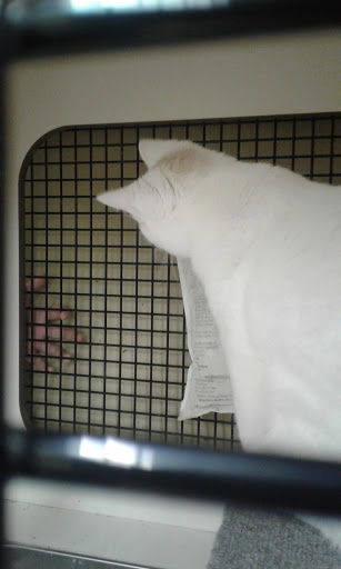 Pet Supply Store «Petco Animal Supplies», reviews and photos, 1080 Washington Square Center, Washington, MO 63090, USA