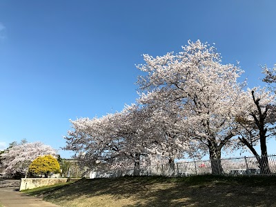 前山公園グラウンド
