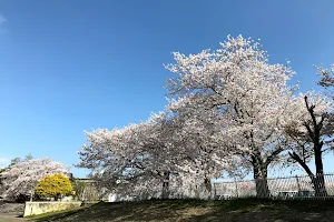 Maeyama Park image