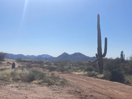 Tour Operator «Stellar Adventures», reviews and photos, 4026 E Broadway Rd, Phoenix, AZ 85040, USA