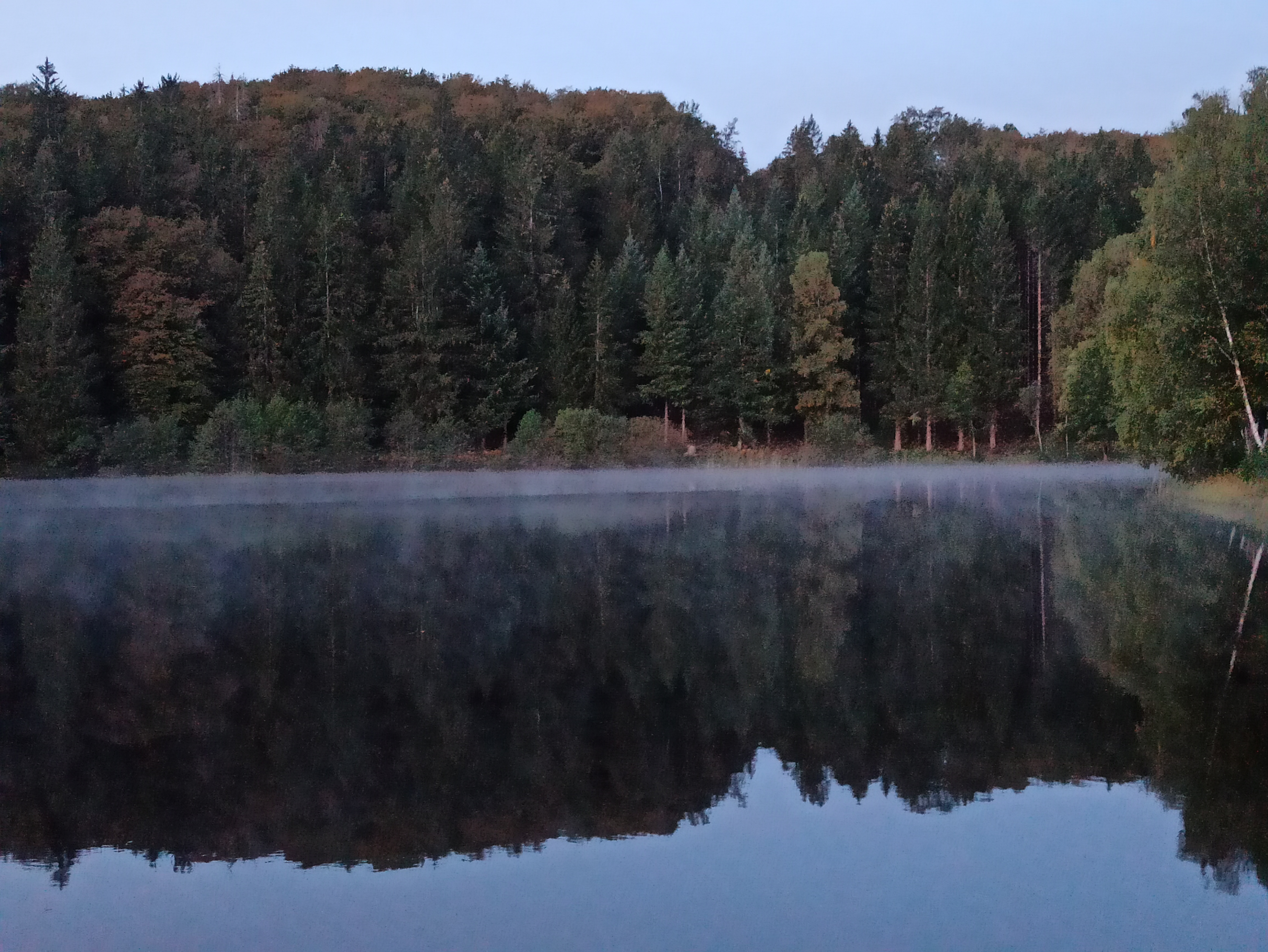 Photo n° 2 de l'avis de Vista.u fait le 22/10/2023 à 06:52