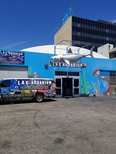 LAX Aquarium