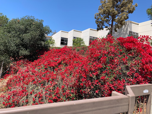 Community College «Santa Barbara City College», reviews and photos