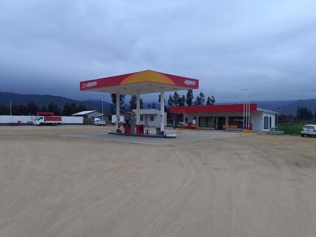 Opiniones de APM Combustibles (Culipran) en Melipilla - Gasolinera