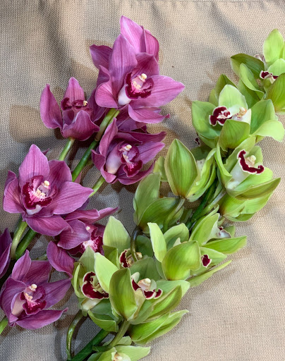 Florist «Cadden Florist», reviews and photos, 1702 Oram St, Scranton, PA 18504, USA