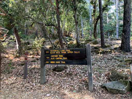 Uvas Canyon County Park image