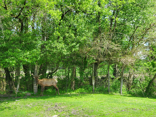 Zoo «Dutch Creek Farm Animal Park», reviews and photos, 6255 N 1000 W, Shipshewana, IN 46565, USA