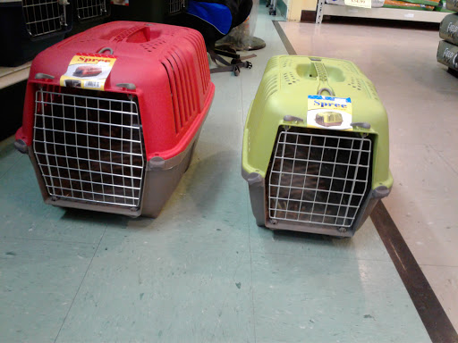 Pet Supply Store «P & D Pet Supply», reviews and photos, 79 N Mountain Blvd, Mountain Top, PA 18707, USA