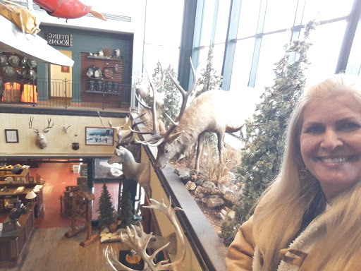 Shopping Mall «Cincinnati Mall», reviews and photos, 600 Cincinnati Mills Dr, Cincinnati, OH 45240, USA