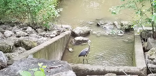 Park «Hoblitzelle Park», reviews and photos, 7500 Red River Dr, Plano, TX 75025, USA