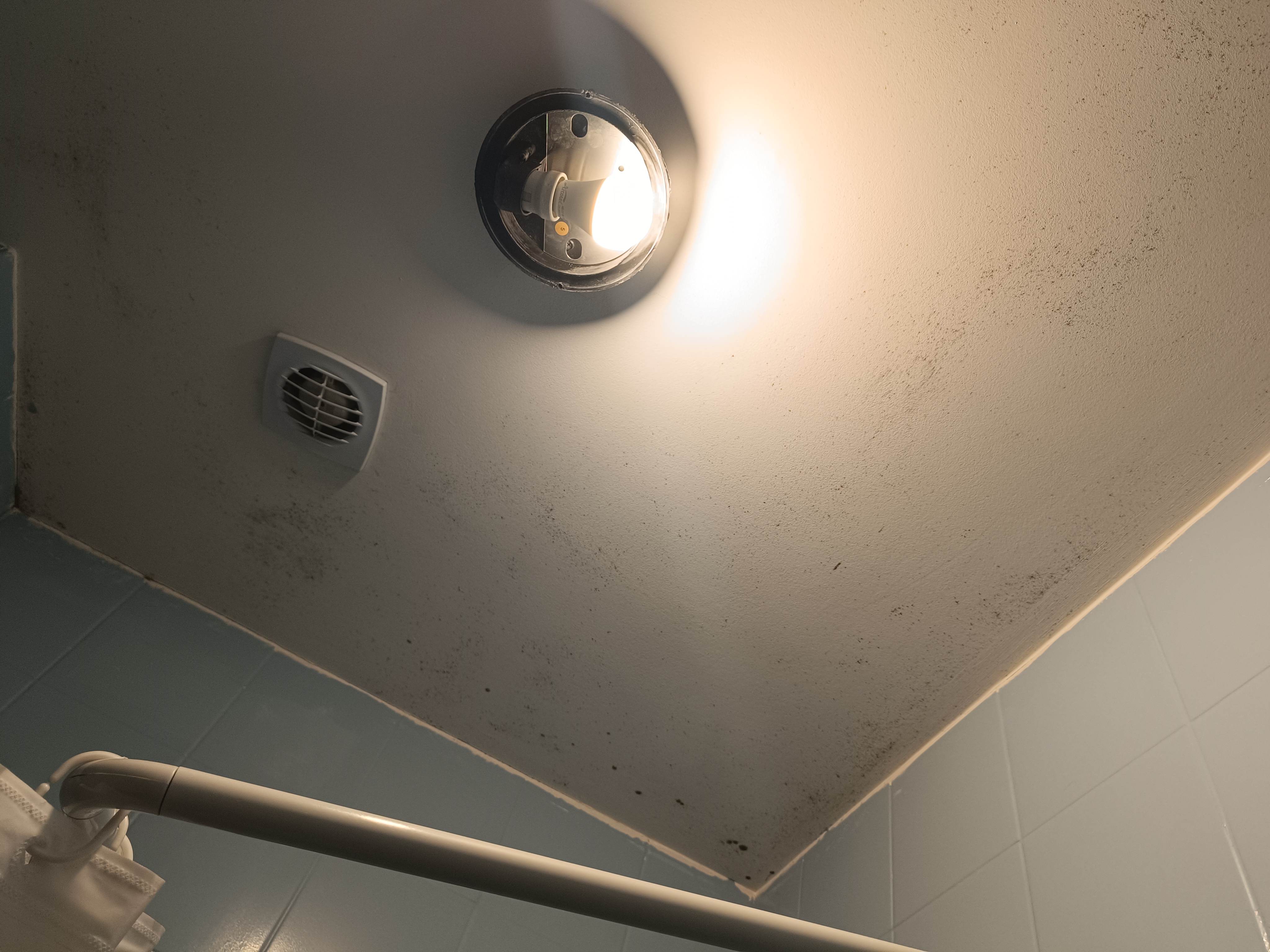 Photo n° 2 de l'avis de Einix.h fait le 02/01/2024 à 14:57