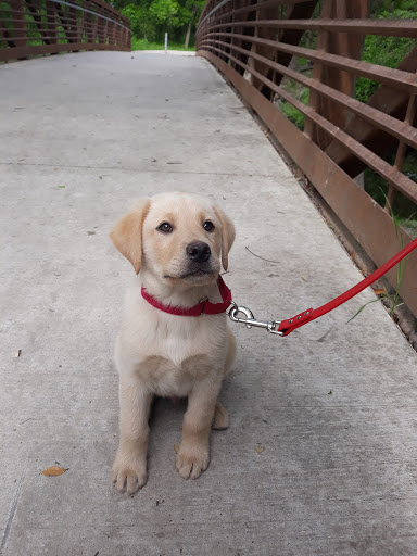 Park «Olmos Basin», reviews and photos, 651 Devine Rd, San Antonio, TX 78209, USA