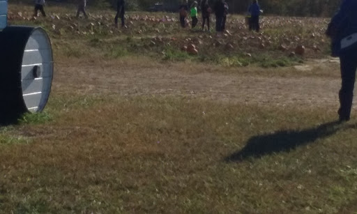 Miniature Golf Course «Christian Way Farm & Mini Golf», reviews and photos, 19590 Linville Rd, Hopkinsville, KY 42240, USA