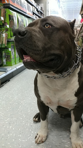 Sporting Goods Store «Academy Sports + Outdoors», reviews and photos, 2409 N Perkins Rd, Stillwater, OK 74075, USA