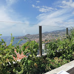 Photo n°1 de l'avis de JOÃO.O fait le 24/09/2021 à 23:40 sur le  Zarcos restaurant & steakhouse à Funchal