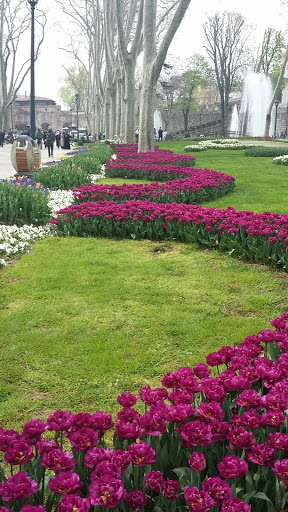 Travel Agency «Landfall Travel», reviews and photos, 19104 Old Detroit Rd, Rocky River, OH 44116, USA