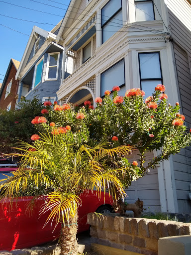 Florist «Flowers of the Valley», reviews and photos, 4077 24th St, San Francisco, CA 94114, USA