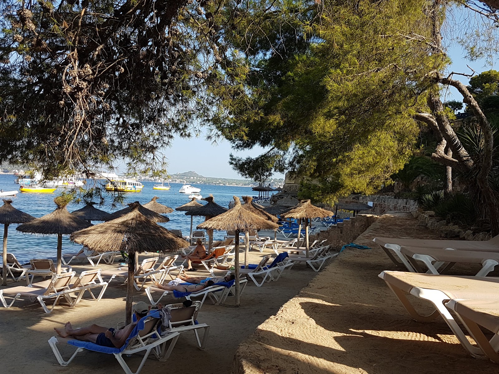 Cala fornells'in fotoğrafı ve yerleşim