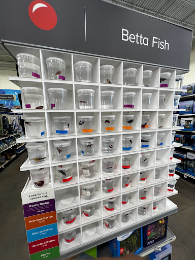 Pet Supply Store «PetSmart», reviews and photos, 67 Consumer Square, Plattsburgh, NY 12901, USA