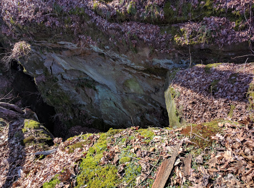 Nature Preserve «Fern Cliff Nature Preserve», reviews and photos, W County Rd 375 S, Greencastle, IN 46135, USA