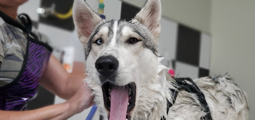 Pet Supply Store «Bark Avenue», reviews and photos, 3919 Park Dr, El Dorado Hills, CA 95762, USA