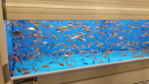 Pet Supply Store «Petco Animal Supplies», reviews and photos, 1320 E Lincoln Way p101, Sparks, NV 89434, USA