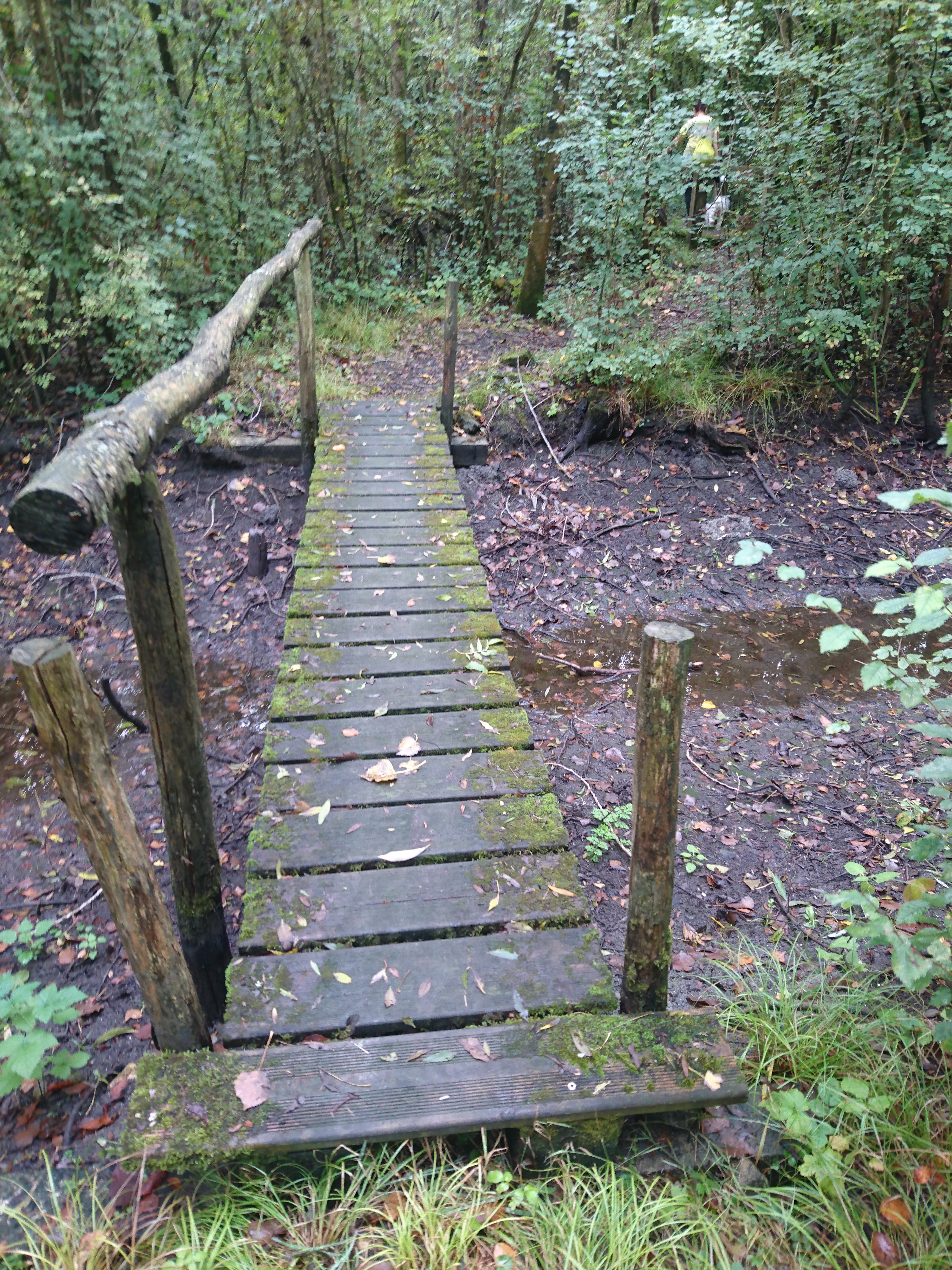 Photo n° 7 de l'avis de Saint.o fait le 26/09/2019 à 10:57