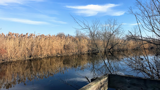 Golf Course «Lake Erie Metropark Golf Course», reviews and photos, 14786 Lee Rd, Rockwood, MI 48173, USA