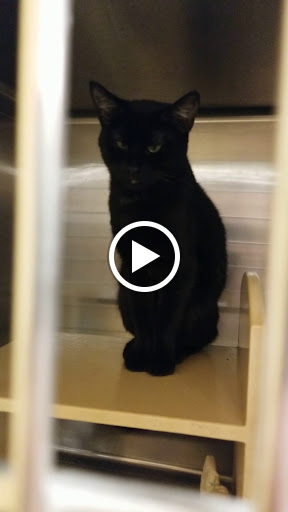 Pet Supply Store «PetSmart», reviews and photos, 2020 SW Westport Dr, Topeka, KS 66604, USA