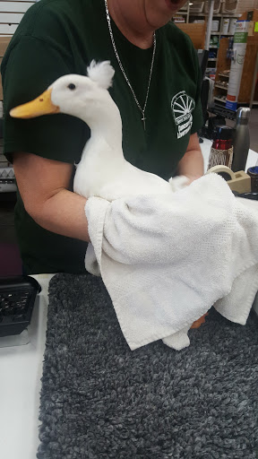 Pet Supply Store «Concord Feed Pet & Livestock Supplies», reviews and photos, 228 Hookston Rd, Pleasant Hill, CA 94523, USA