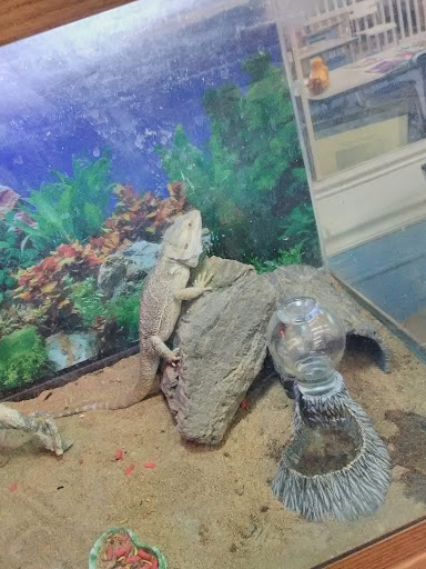 Aquarium «Biomes Marine Biology Center», reviews and photos, 6640 Post Rd, North Kingstown, RI 02852, USA