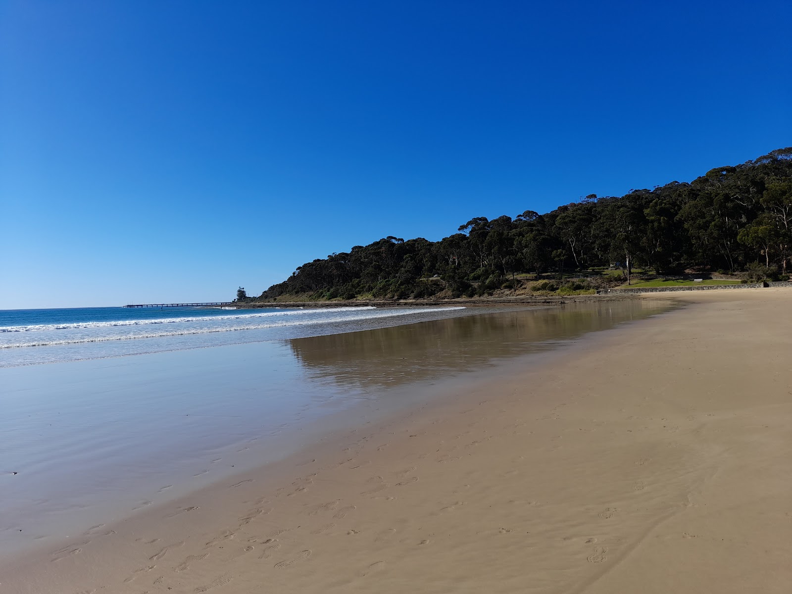 Foto von Lorne Beach - beliebter Ort unter Entspannungskennern