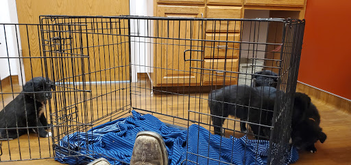 Kessen Veterinary Clinic