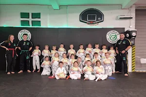Premier Kickboxing & Brazilian Jiu-Jitsu image