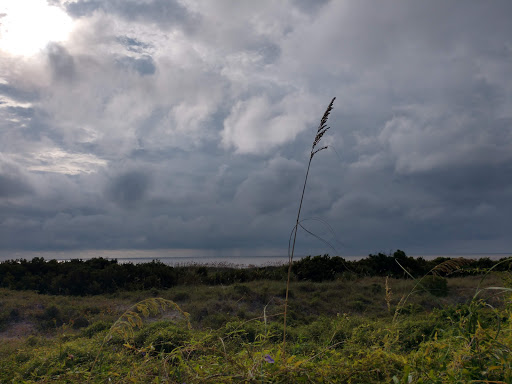 Golf Club «Jekyll Island Golf Club», reviews and photos, 322 Captain Wylly Rd, Jekyll Island, GA 31527, USA