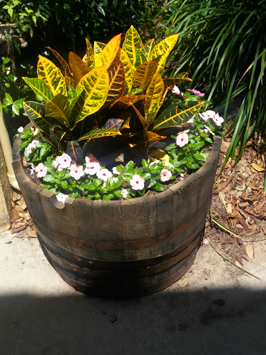 Vineyard «Lakeridge Winery & Vineyards», reviews and photos, 19239 US-27, Clermont, FL 34715, USA